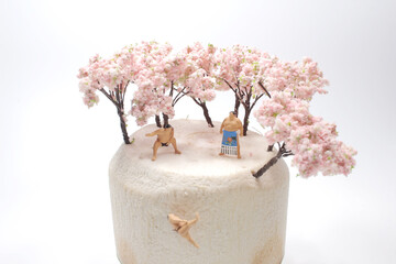 a fun of mini figure at Cherry blossoms