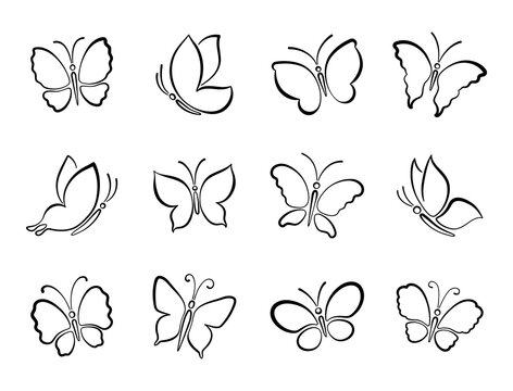 Set of different black butterfly outlines silhouettes for design.