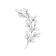 Leaves One Line Drawing. Hand Drawn Minimalism Style of Simple Leaves Line Art Drawing. Abstract Contemporary Design Template for Covers, t-Shirt Print, Postcard, Banner etc. Vector EPS 10