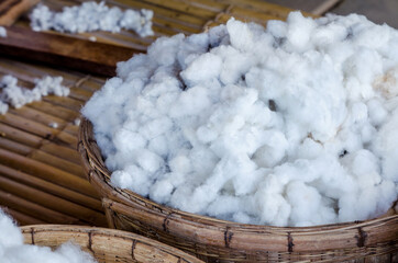 Closed up dry cotton flower after harvested from the farm in wooden basket ready for fabric...