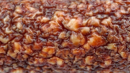 Texture of italian sausage skin. Close up.