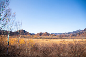 小田代ヶ原の葉紅葉