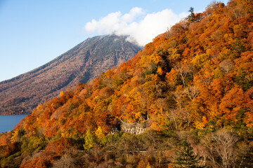 奥日光の紅葉