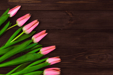 Pink spring tulips on a background of brown boards. Place for text.