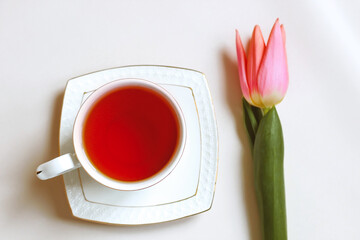A cup of tea with a pink tulip. Minimalism of breakfast composition. Spring concept.