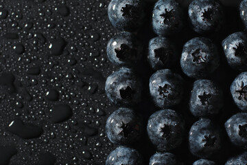 Water drops on ripe sweet blueberry. Fresh blueberries background with copy space for your text. Vegan and vegetarian concept. Macro texture of blueberry berries.