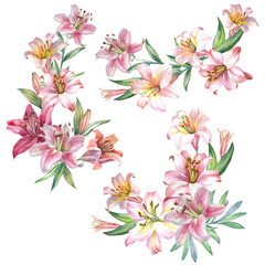 Fototapeta na wymiar set of lilies bouquets