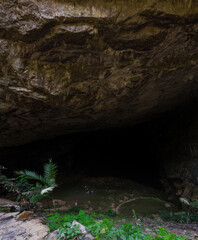 Beautiful shot of Gruta de Totomochapa in Mexico