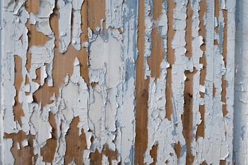 Old weathered blue and white grunge rustic wood panels. Wooden aged textures planks stock photography
