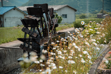 兵庫県沿線・風と水車の風景