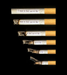 I want to live not to die message macro of a burning