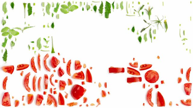 Large collection of red tomato vegetable pieces, slices and leaves isolated on white background gradually appearing. Top view. Stop motion 4k video, high quality.