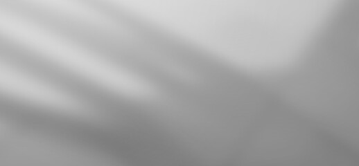 Abstract Blurred background, white-gray background with reflective walls For the design and layout of the book as wallpaper, computer screen background	
