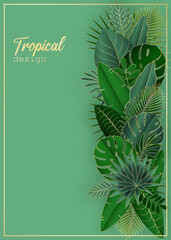 Summer luxury background with tropical leaves.