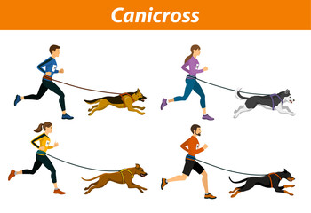 Canicross Outdoor Training with Dogs. Men, women, Group of people running pulled by dogs corss country workout  isoltated vector illustration - obrazy, fototapety, plakaty
