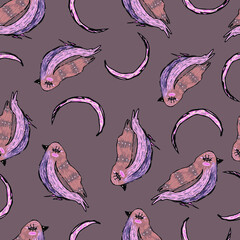 Pattern with birds and laser. Handmade linear drawing.