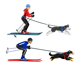 Couple, Man and Woman skijoring with their dogs vector illustration. Outdoor winter activity