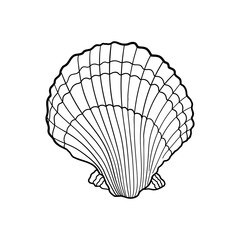 Hand-drawn scallop of engraved line. Design element for invitations, greeting cards, posters, banners, flyers and more.  Vector illustration isolated on white background.