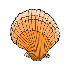 Hand-drawn scallop of engraved line. Design element for invitations, greeting cards, posters, banners, flyers and more.  Vector colorful illustration isolated on white background.