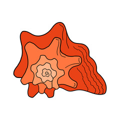 Hand-drawn turban shell of engraved line. Design element for invitations, greeting cards, posters, banners, flyers and more.  Vector colorful illustration isolated on white background.