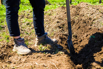 Woman working in the field, agricultural scene