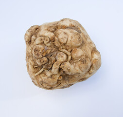Single celeriac vegetable against plain white background with copy space