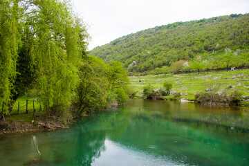 Landscape of the green river in Martvili, Georgia