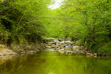Fototapeta na wymiar Landscape of the green river in Martvili, Georgia