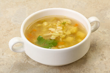 Tasty chicken soup with carrot