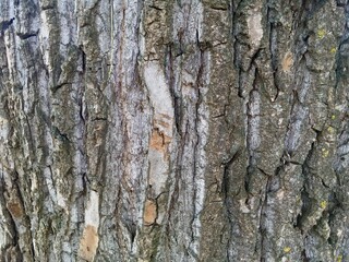 texture