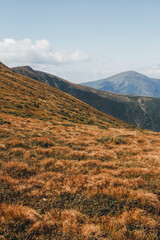 View from mountain Hoverla. Carpathian mountains.