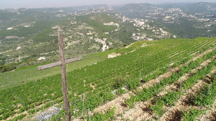 Vineyard view from above. Summertime. Red wine in the making. Syrah, Cabernet sauvignon, Cabernet Franc, Merlot. Wine tasting. Family business in the mountains. Wine lovers. Vineyard walk 