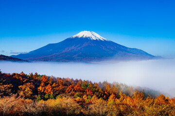 富士山と雲海と朝日に照らされた紅葉　山梨県南都留郡山中湖村パノラマ台にて