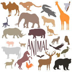 all the more animal, 
animal world