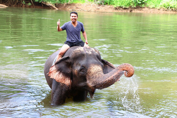 Asian Handsome Man Elephant Ride Bathing Swimming at elephant camp on Kwai River Kanchanaburi...