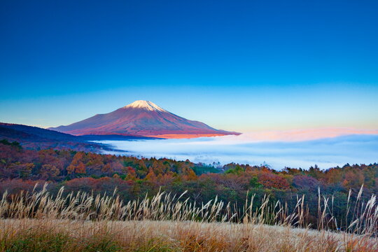 1 950 Best 山中湖村images Stock Photos Vectors Adobe Stock 1 950 Best 山中湖村images Stock Photos Vectors Adobe Stock