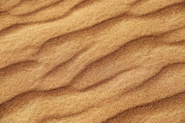 Fototapeta na wymiar The Desert (UAE) – Red Sand Dunes