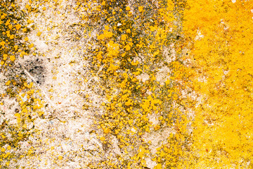 Texture of a concrete wall with cracks and scratches which can be used as a background