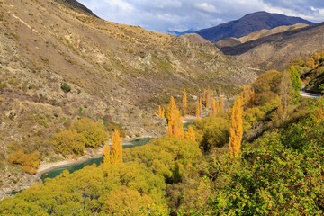 Autumn landscape in the South Island of New Zealand. The Kawarau River, Otago, passing through a...