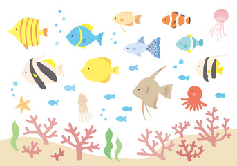いろんな熱帯魚とサンゴの手描きイラストセット（カラー/輪郭線なし）