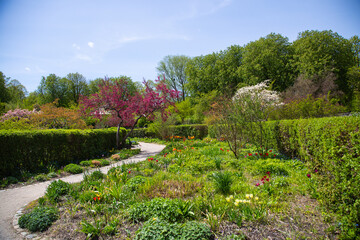 blooming trees and flowers in Westpark, Munich