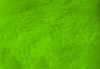 Green fur background close up view.