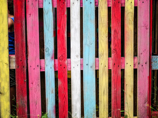 Colored wood pallet