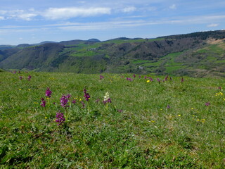 Sentier de la Roche Nit&eacute; -Valbeleix - Auvergne