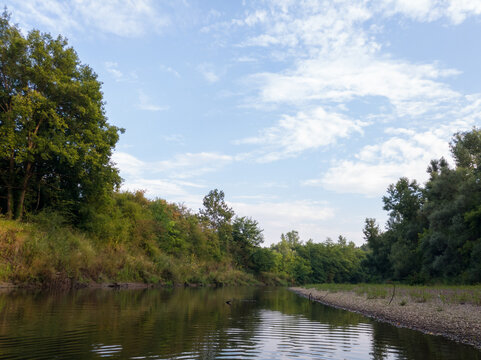 Sunny day with clouds in nature, Landscape with river and forested riparian zone during summer.