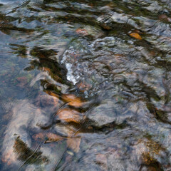 Detail from creek, shallow rapid water current flow over stones