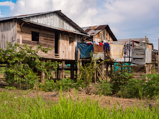 amazonia