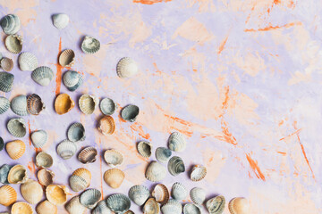 Still life of shells on a decorative background