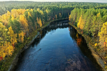 river autumn view from drone forest, landscape panorama aerial view