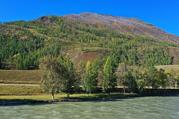 mountain altai river top view drone, landscape altai tourism top view